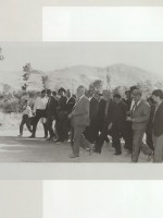 oe1966-8